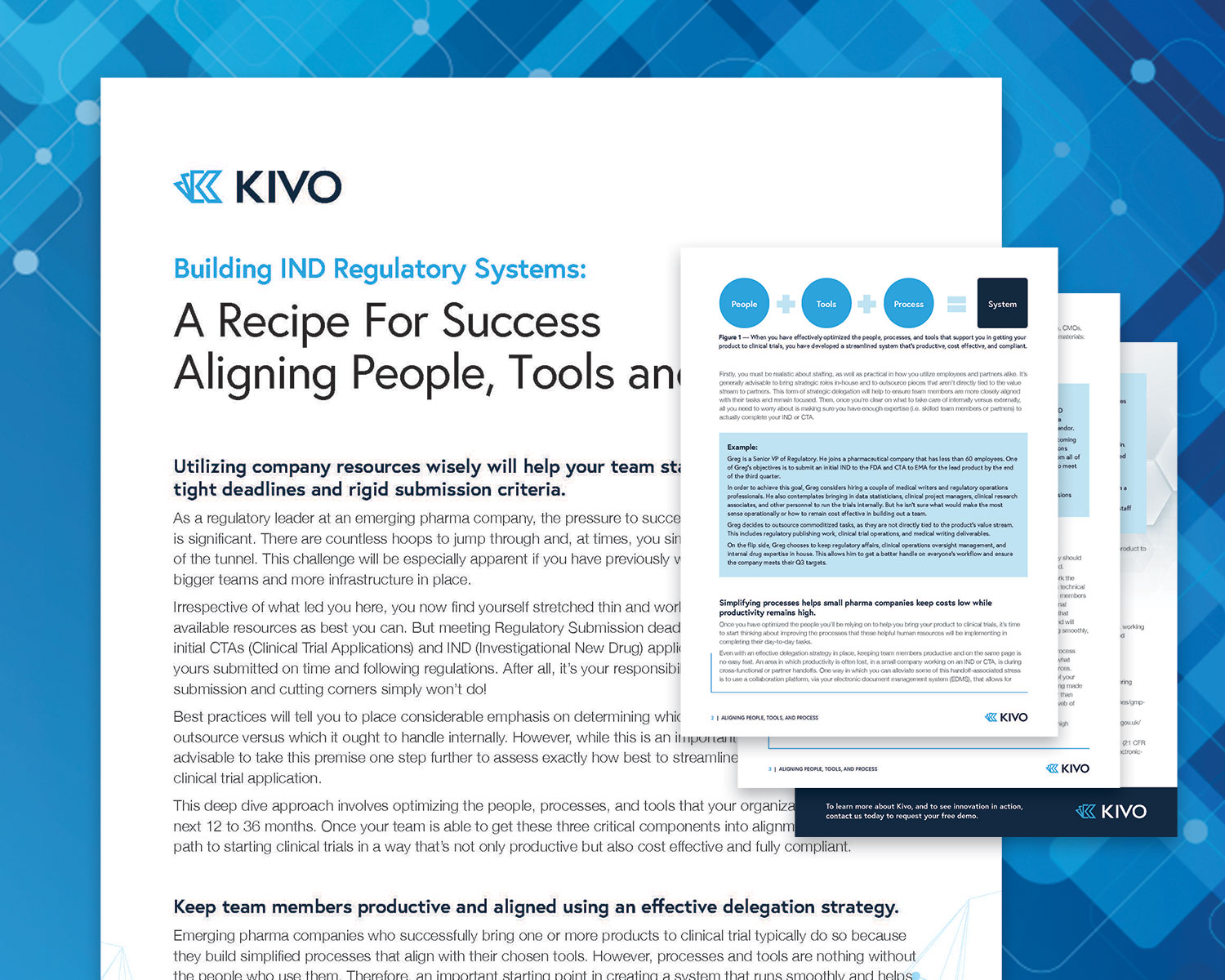 embeddedCTA_regulatorysystemswhitepaper